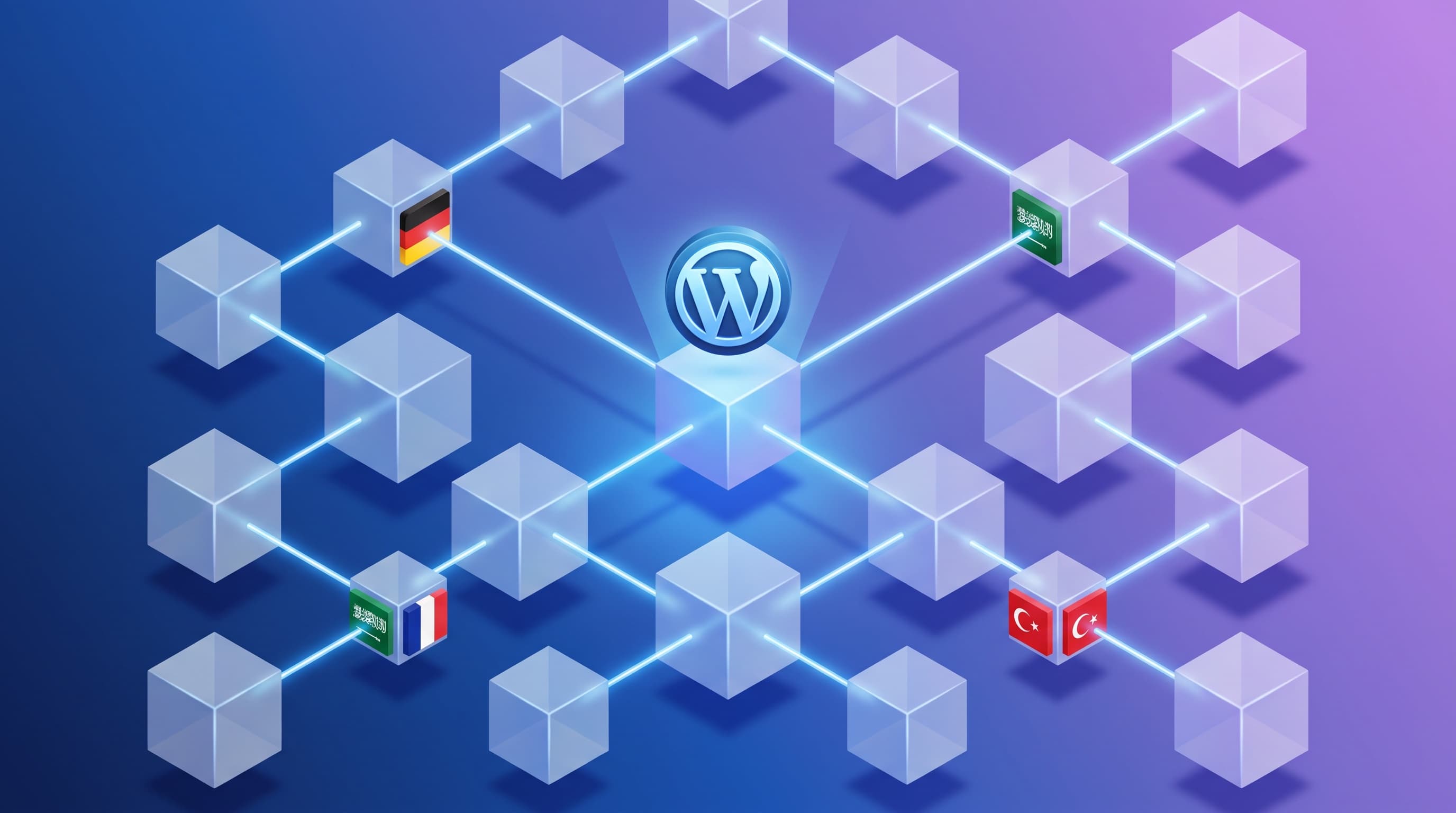 Farklı dilleri temsil eden bağlantılı küplerden oluşan WordPress çok dilli ağ yapısı.